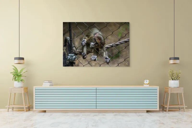 Tablou Canvas, "Maimuța curioasă prin gardul de sârmă", Maimuță, Gard, Frânghie, Ochi, Blană, Degete, Curiozitate, 150 x 100 cm – poza 6