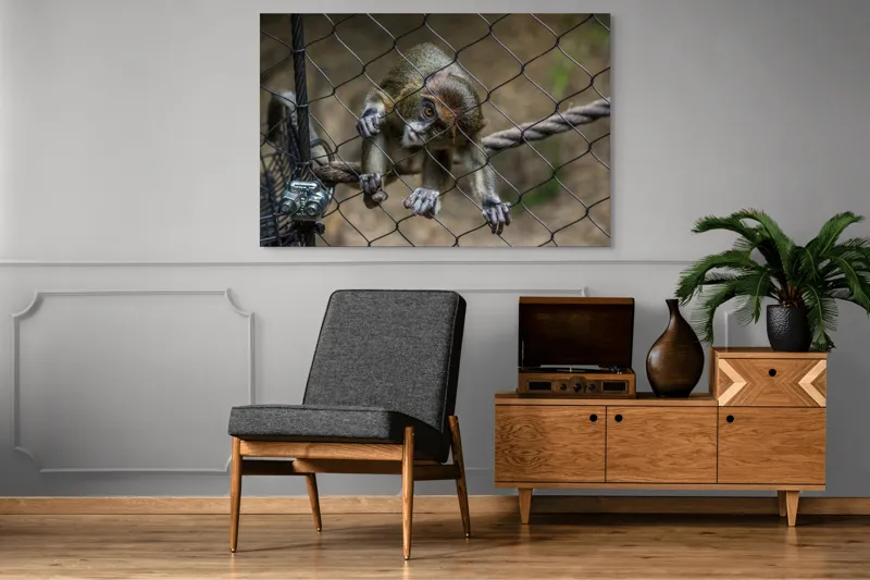 Tablou Canvas, "Maimuța curioasă prin gardul de sârmă", Maimuță, Gard, Frânghie, Ochi, Blană, Degete, Curiozitate, 150 x 100 cm – poza 8