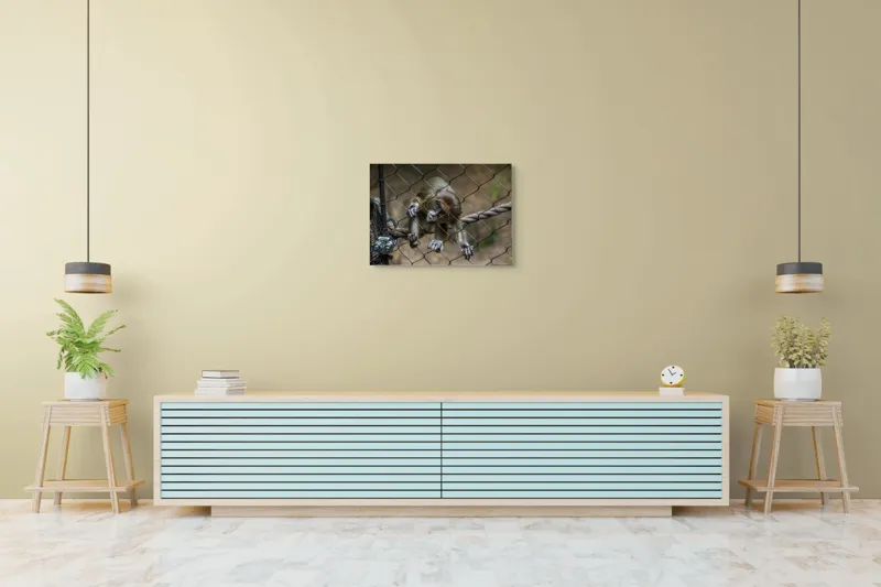 Tablou Canvas, "Maimuța curioasă prin gardul de sârmă", Maimuță, Gard, Frânghie, Ochi, Blană, Degete, Curiozitate, 70 x 50 cm – poza 7