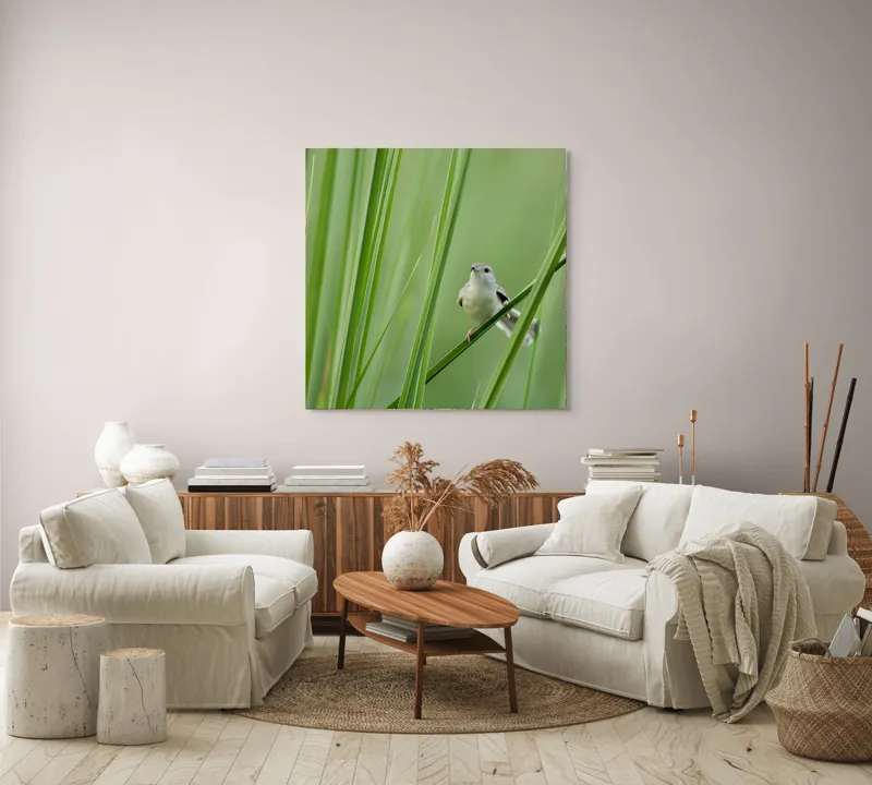 Tablou Canvas, "Pasărea între fire de iarbă", Pasăre, Frunze, Verde, Natură, Delicatețe, Echilibru, Plante, Liniște, 100 x 100 cm – poza 3