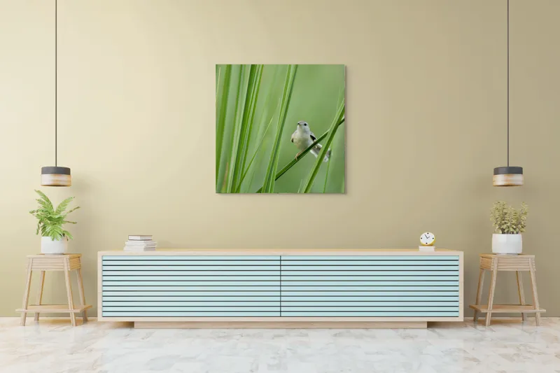 Tablou Canvas, "Pasărea între fire de iarbă", Pasăre, Frunze, Verde, Natură, Delicatețe, Echilibru, Plante, Liniște, 100 x 100 cm – poza 5