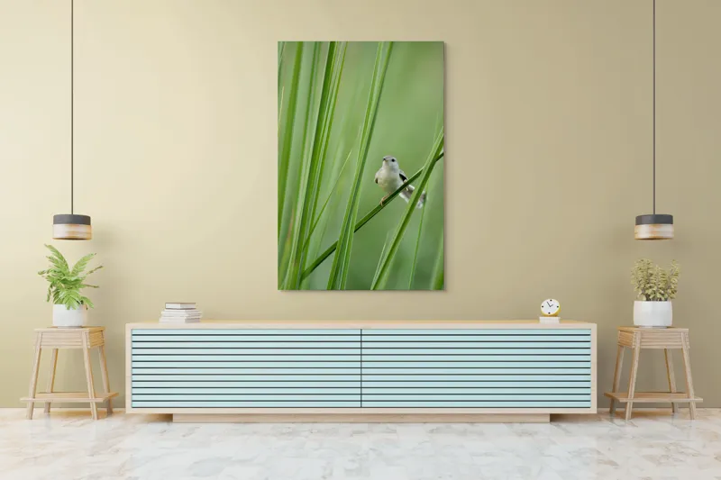 Tablou Canvas, "Pasărea între fire de iarbă", Pasăre, Frunze, Verde, Natură, Delicatețe, Echilibru, Plante, Liniște, 100 x 150 cm – poza 4