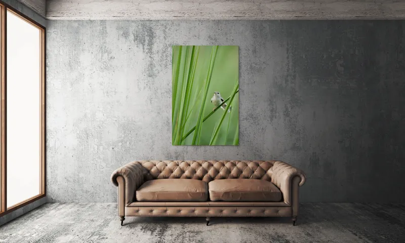 Tablou Canvas, "Pasărea între fire de iarbă", Pasăre, Frunze, Verde, Natură, Delicatețe, Echilibru, Plante, Liniște, 100 x 150 cm – poza 6