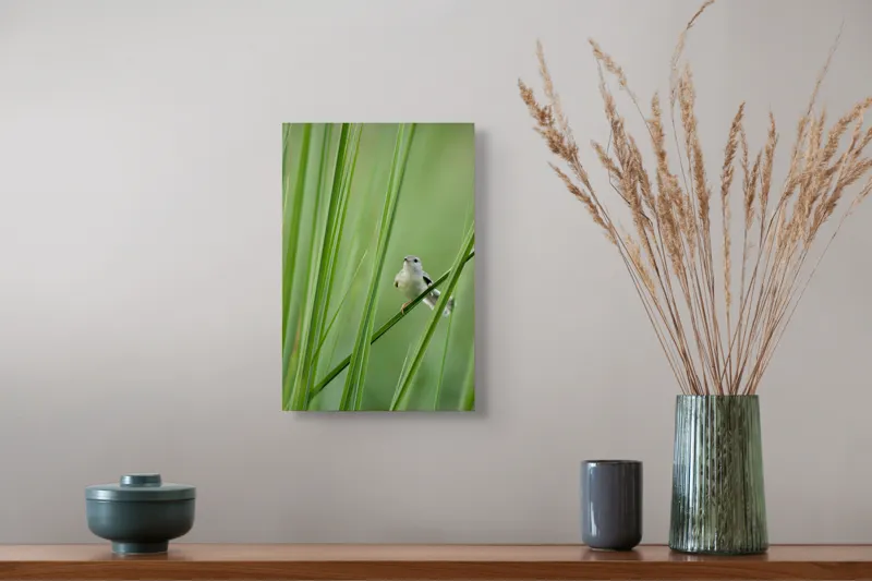 Tablou Canvas, "Pasărea între fire de iarbă", Pasăre, Frunze, Verde, Natură, Delicatețe, Echilibru, Plante, Liniște, 26 x 39 cm – poza 5