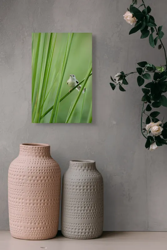 Tablou Canvas, "Pasărea între fire de iarbă", Pasăre, Frunze, Verde, Natură, Delicatețe, Echilibru, Plante, Liniște, 26 x 39 cm – poza 6