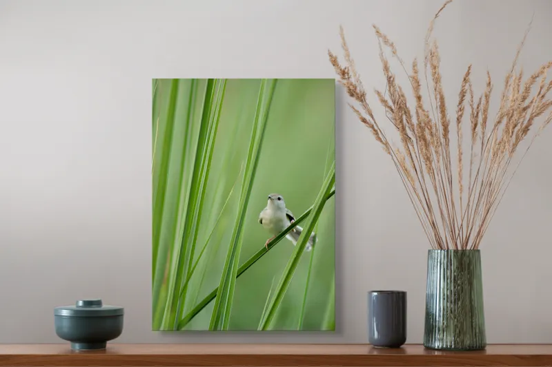 Tablou Canvas, "Pasărea între fire de iarbă", Pasăre, Frunze, Verde, Natură, Delicatețe, Echilibru, Plante, Liniște, 39 x 54 cm – poza 3
