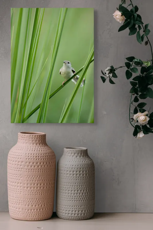Tablou Canvas, "Pasărea între fire de iarbă", Pasăre, Frunze, Verde, Natură, Delicatețe, Echilibru, Plante, Liniște, 39 x 54 cm – poza 6