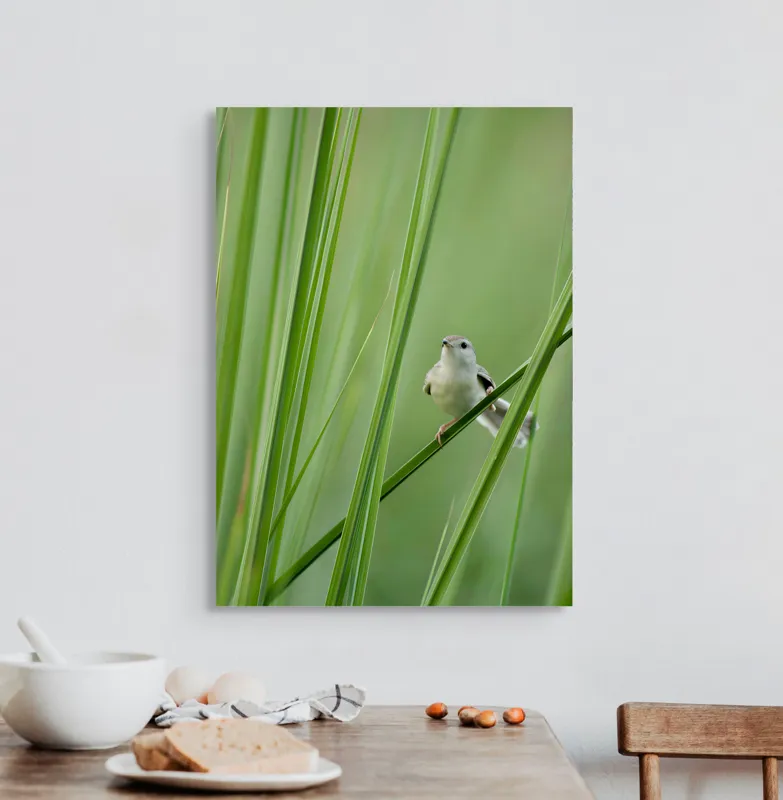 Tablou Canvas, "Pasărea între fire de iarbă", Pasăre, Frunze, Verde, Natură, Delicatețe, Echilibru, Plante, Liniște, 50 x 70 cm – poza 3