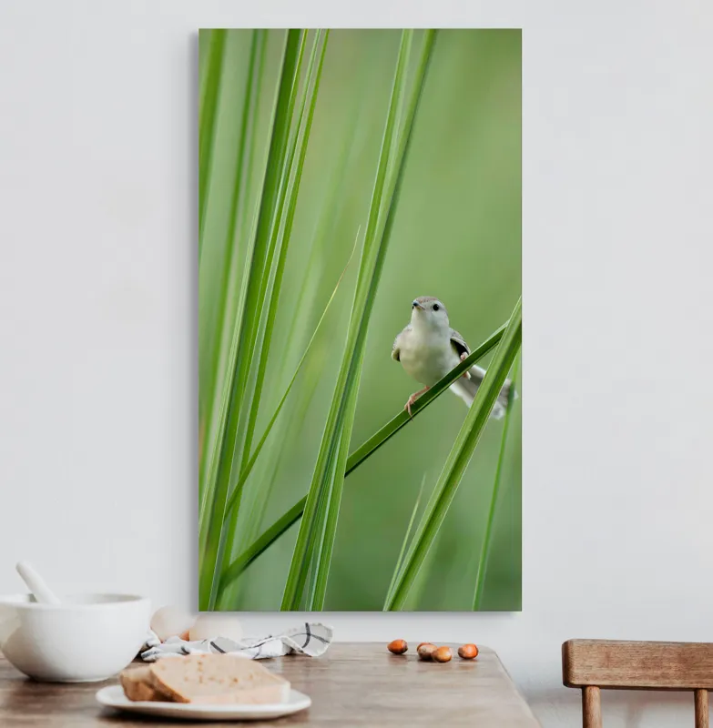 Tablou Canvas, "Pasărea între fire de iarbă", Pasăre, Frunze, Verde, Natură, Delicatețe, Echilibru, Plante, Liniște, 50 x 90 cm – poza 3