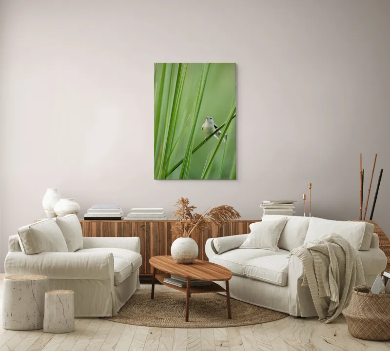 Tablou Canvas, "Pasărea între fire de iarbă", Pasăre, Frunze, Verde, Natură, Delicatețe, Echilibru, Plante, Liniște, 70 x 100 cm – poza 4