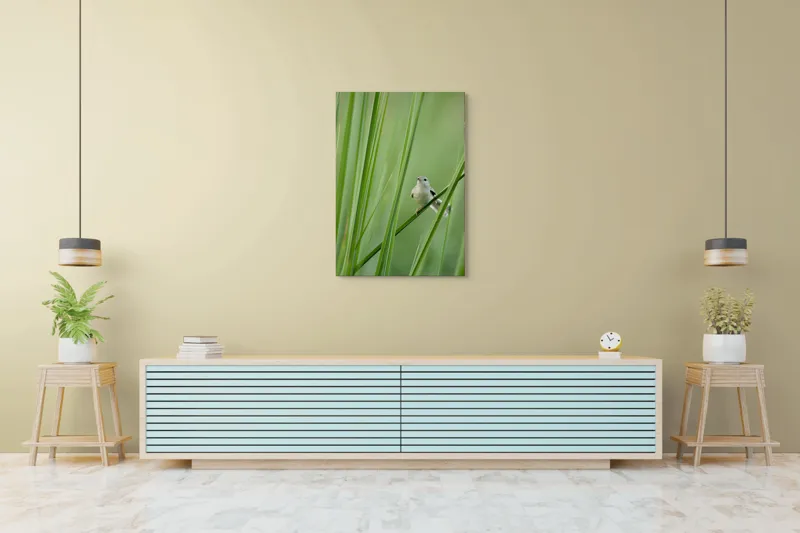 Tablou Canvas, "Pasărea între fire de iarbă", Pasăre, Frunze, Verde, Natură, Delicatețe, Echilibru, Plante, Liniște, 70 x 100 cm – poza 5