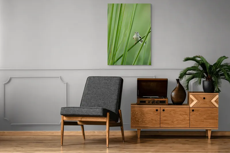 Tablou Canvas, "Pasărea între fire de iarbă", Pasăre, Frunze, Verde, Natură, Delicatețe, Echilibru, Plante, Liniște, 70 x 100 cm – poza 6