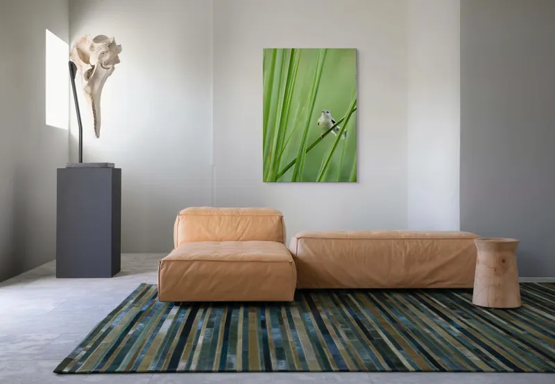Tablou Canvas, "Pasărea între fire de iarbă", Pasăre, Frunze, Verde, Natură, Delicatețe, Echilibru, Plante, Liniște, 70 x 100 cm – poza 7