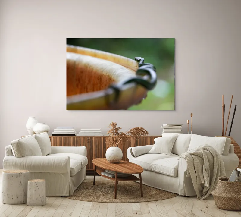 Tablou Canvas, "Șarpele leneș pe marginea vasului", Sarpe, Lemn, Curbura, Plante, Verde, Alunecare, Umiditate, 150 x 100 cm – poza 3