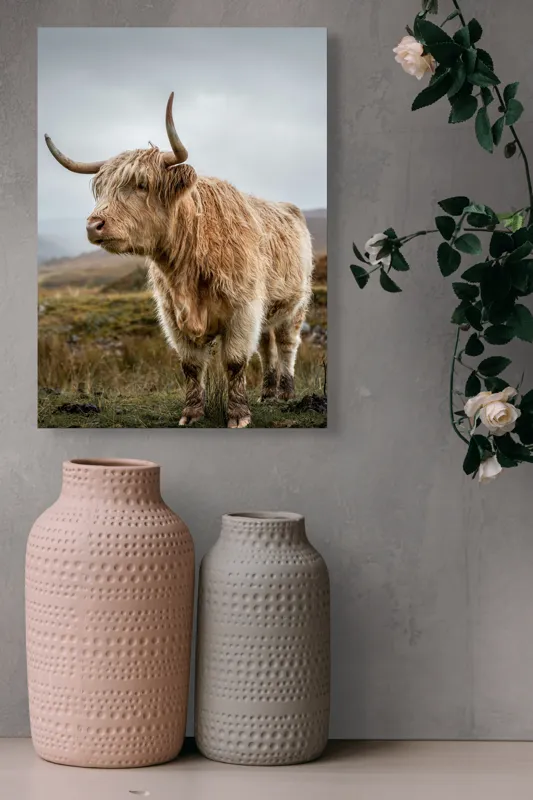 Tablou Canvas, "Boul pășește în peisajul nordic", Păr, Coarne, Plante, Nori, Peisaj, Cer, Verde, Animal, 39 x 54 cm – poza 6