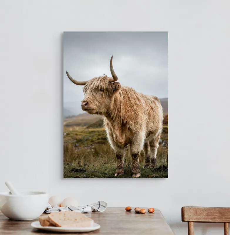 Tablou Canvas, "Boul pășește în peisajul nordic", Păr, Coarne, Plante, Nori, Peisaj, Cer, Verde, Animal, 50 x 70 cm – poza 3