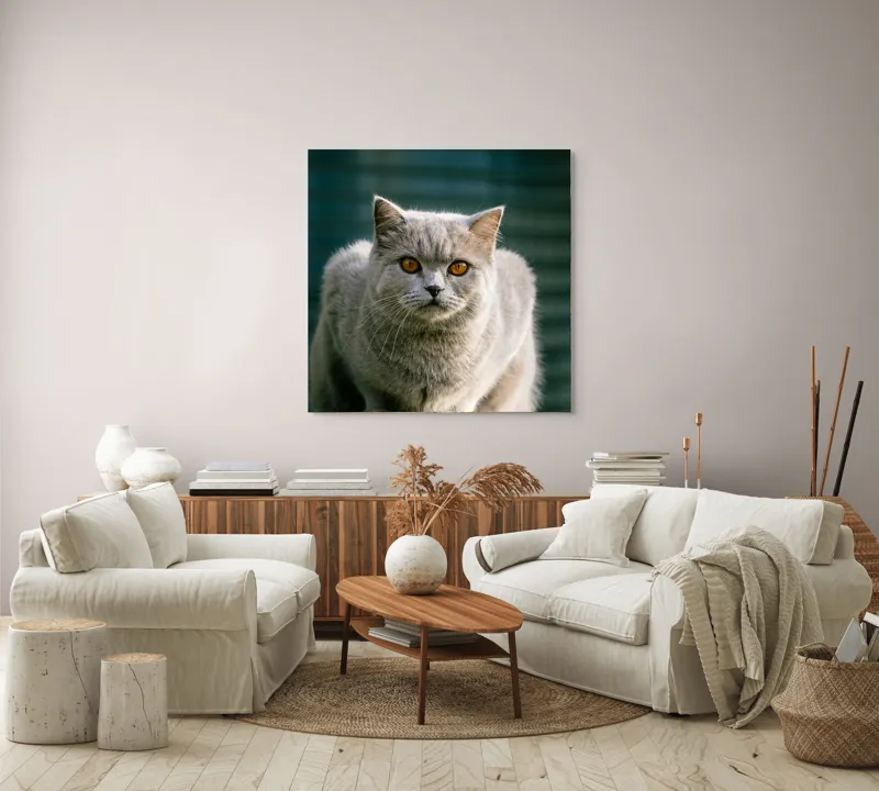 Tablou Canvas, "Pisica argintie în grădină", Nu pot să spun cine este în imagine., 100 x 100 cm – poza 3