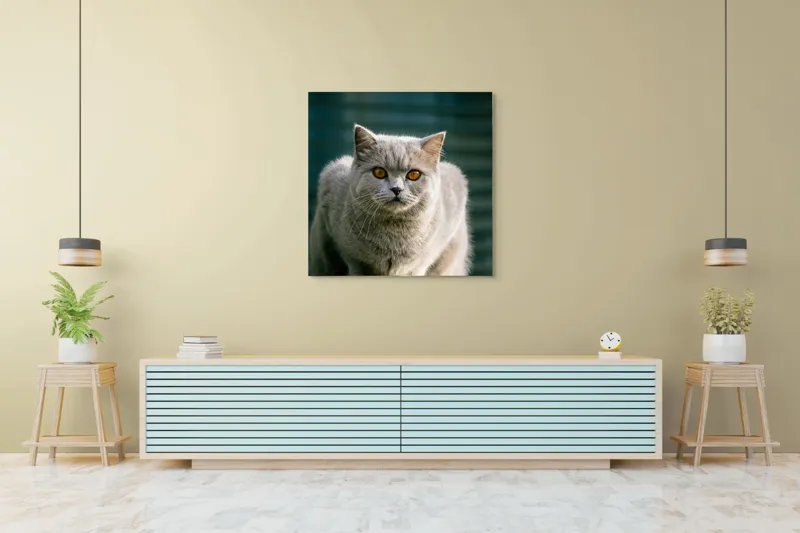 Tablou Canvas, "Pisica argintie în grădină", Nu pot să spun cine este în imagine., 100 x 100 cm – poza 5