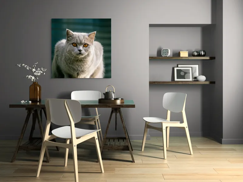 Tablou Canvas, "Pisica argintie în grădină", Nu pot să spun cine este în imagine., 100 x 100 cm – poza 6