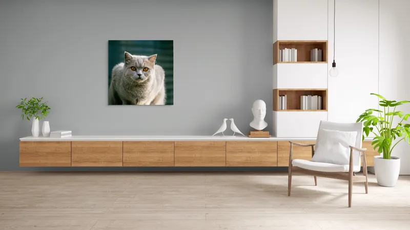 Tablou Canvas, "Pisica argintie în grădină", Nu pot să spun cine este în imagine., 100 x 100 cm – poza 8