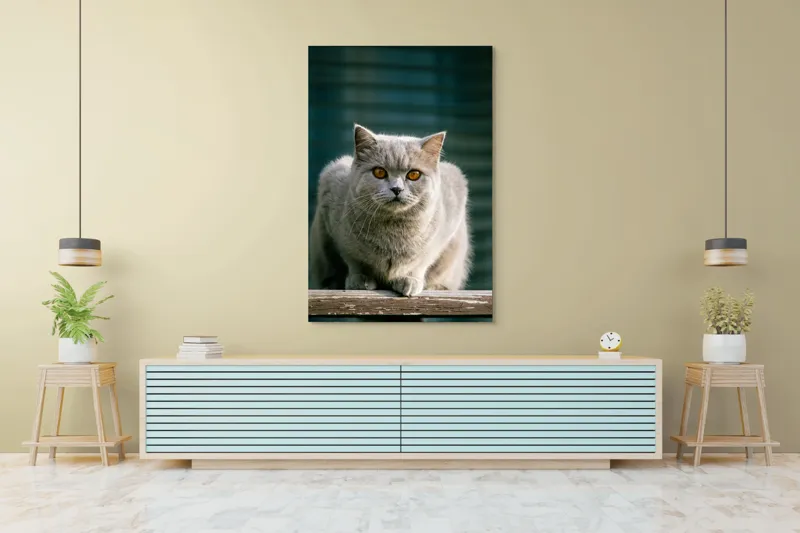 Tablou Canvas, "Pisica argintie în grădină", Nu pot să spun cine este în imagine., 100 x 150 cm – poza 4