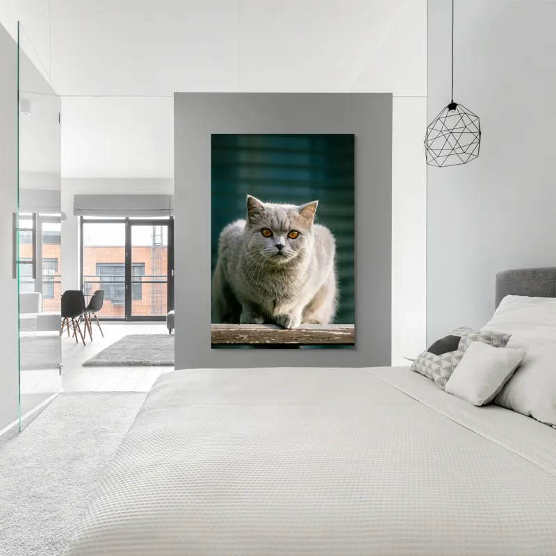 Tablou Canvas, "Pisica argintie în grădină", Nu pot să spun cine este în imagine., 100 x 150 cm – poza 5