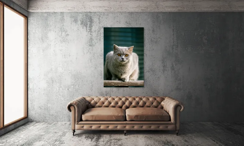 Tablou Canvas, "Pisica argintie în grădină", Nu pot să spun cine este în imagine., 100 x 150 cm – poza 6