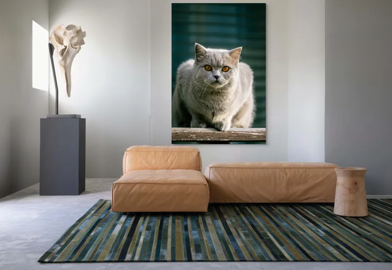 Tablou Canvas, "Pisica argintie în grădină", Nu pot să spun cine este în imagine., 100 x 150 cm – poza 7