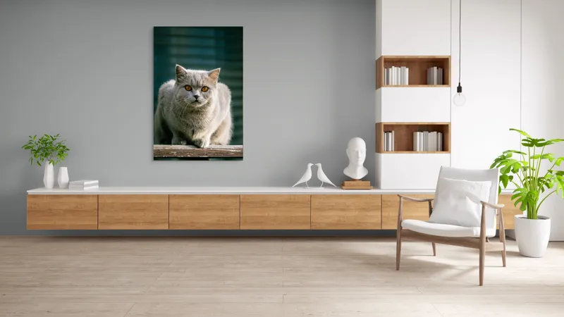 Tablou Canvas, "Pisica argintie în grădină", Nu pot să spun cine este în imagine., 100 x 150 cm – poza 8