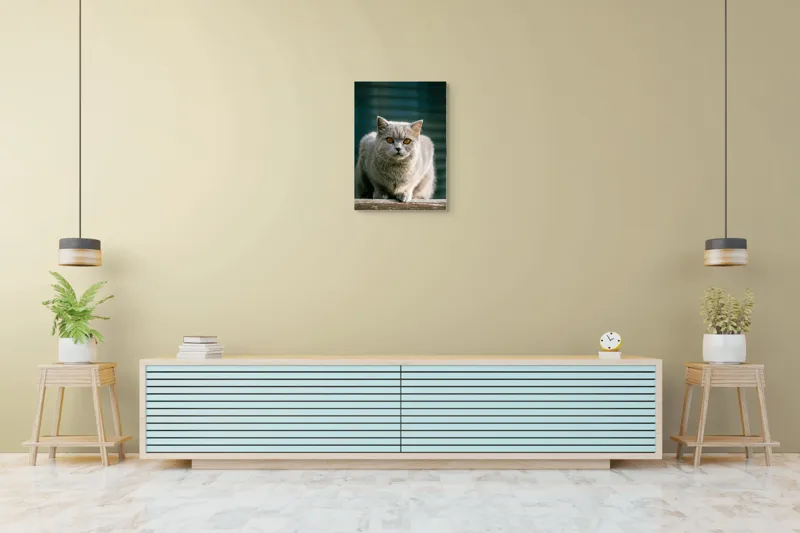 Tablou Canvas, "Pisica argintie în grădină", Nu pot să spun cine este în imagine., 50 x 70 cm – poza 6