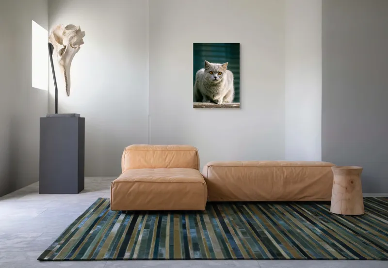 Tablou Canvas, "Pisica argintie în grădină", Nu pot să spun cine este în imagine., 50 x 70 cm – poza 7