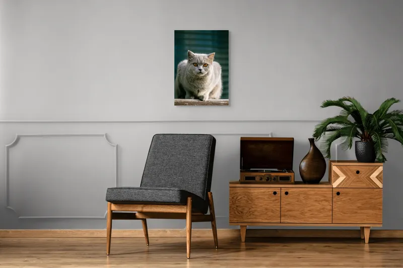 Tablou Canvas, "Pisica argintie în grădină", Nu pot să spun cine este în imagine., 50 x 70 cm – poza 8
