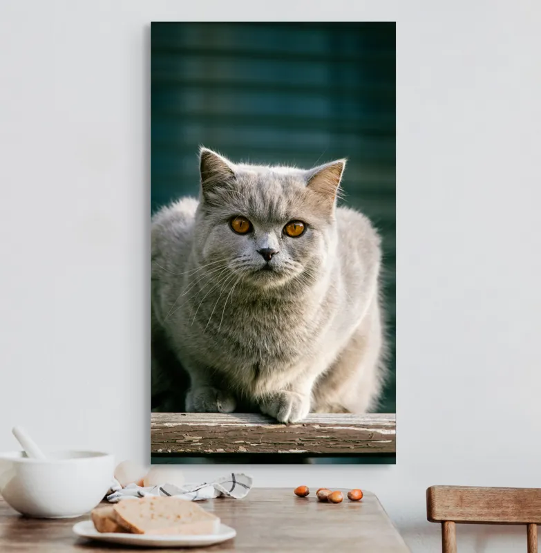 Tablou Canvas, "Pisica argintie în grădină", Nu pot să spun cine este în imagine., 50 x 90 cm – poza 3