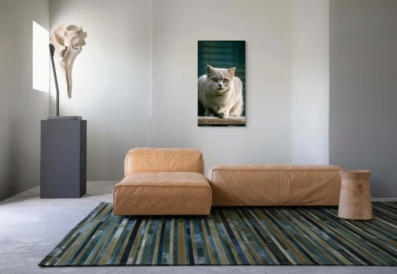 Tablou Canvas, "Pisica argintie în grădină", Nu pot să spun cine este în imagine., 50 x 90 cm – poza 5