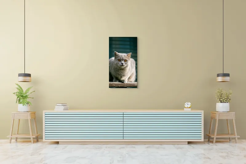 Tablou Canvas, "Pisica argintie în grădină", Nu pot să spun cine este în imagine., 50 x 90 cm – poza 6