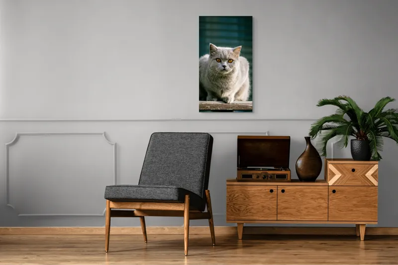 Tablou Canvas, "Pisica argintie în grădină", Nu pot să spun cine este în imagine., 50 x 90 cm – poza 8