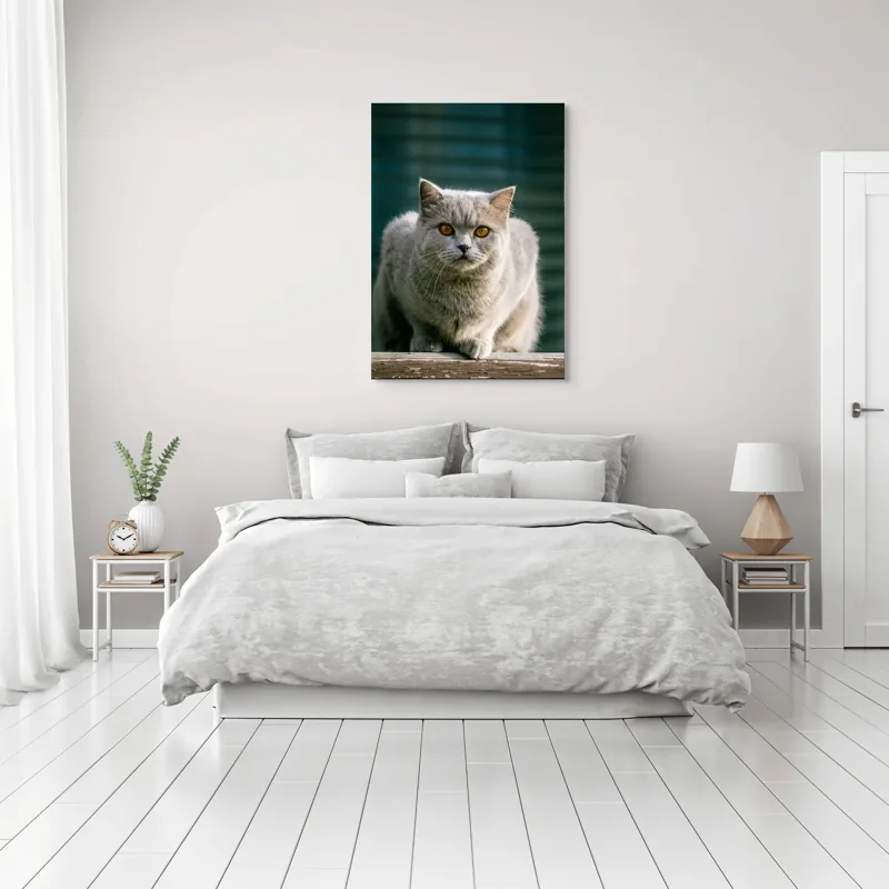 Tablou Canvas, "Pisica argintie în grădină", 70 x 100 cm – poza 3