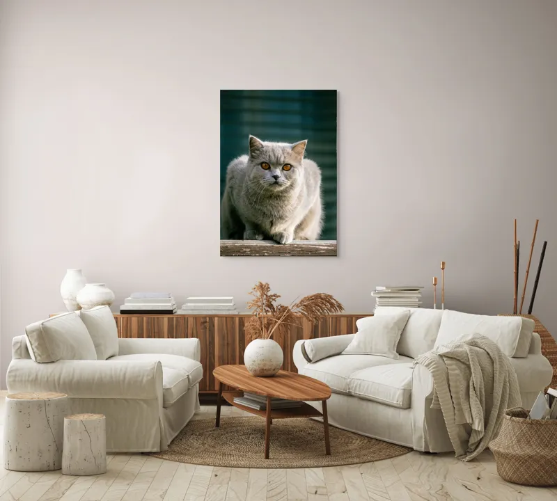 Tablou Canvas, "Pisica argintie în grădină", 70 x 100 cm – poza 4