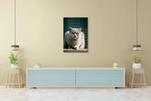 Tablou Canvas, "Pisica argintie în grădină", 70 x 100 cm – poza 5
