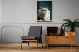 Tablou Canvas, "Pisica argintie în grădină", 70 x 100 cm – poza 6