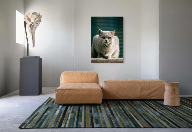 Tablou Canvas, "Pisica argintie în grădină", 70 x 100 cm – poza 7
