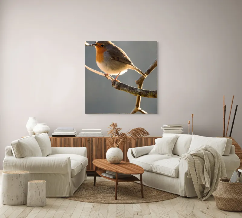 Tablou Canvas, "Măiestria micuțului cântăreț pe creangă.", Pasăre, Ramură, Lumină, Pene, Portocaliu, Vedere, Natură, Blândețe, 100 x 100 cm – poza 3