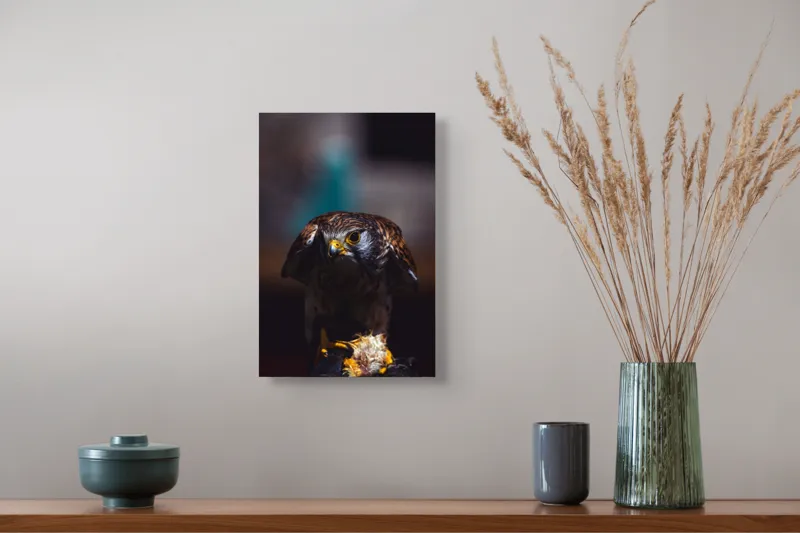Tablou Canvas, "Prădătorul în lumina misterioasă", 26 x 39 cm – poza 5