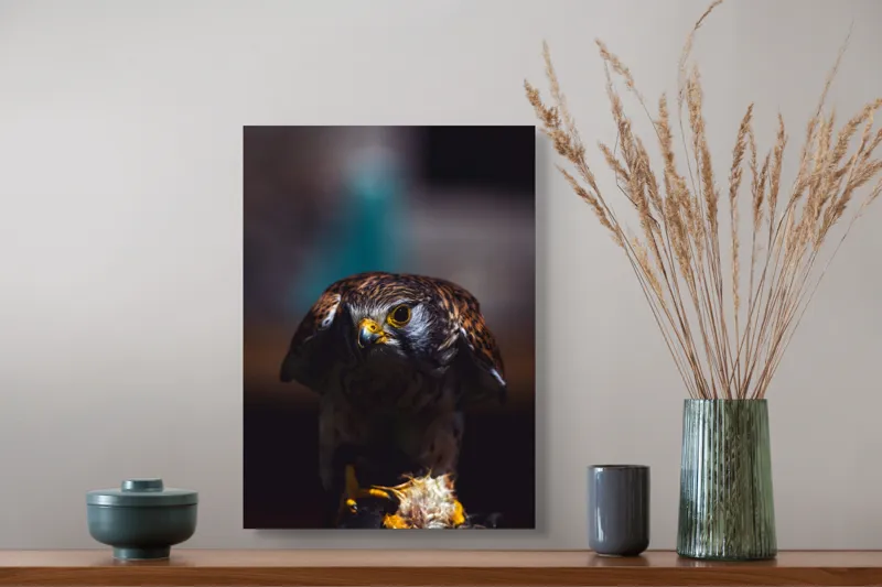 Tablou Canvas, "Prădătorul în lumina misterioasă", Nu pot identifica sau descrie persoane din imagine., 39 x 54 cm – poza 3
