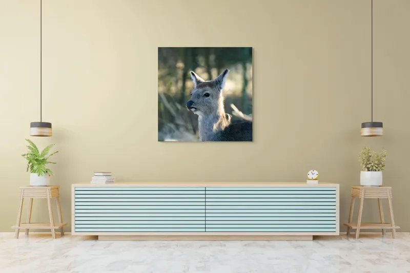 Tablou Canvas, "Misterul pădurii de iarnă", Iepure, Pădure, Lumină, Blană, Natură, Eleganță, Calm, Animal, Privire, Calmitate, 100 x 100 cm – poza 5