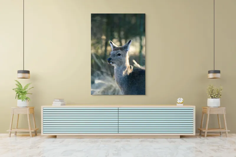 Tablou Canvas, "Misterul pădurii de iarnă", Iepure, Pădure, Lumină, Blană, Natură, Eleganță, Calm, Animal, Privire, Calmitate, 100 x 150 cm – poza 4