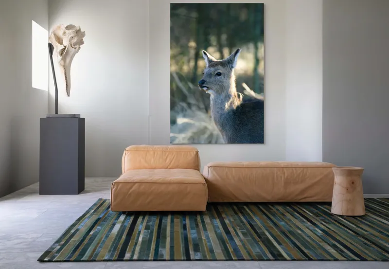 Tablou Canvas, "Misterul pădurii de iarnă", Iepure, Pădure, Lumină, Blană, Natură, Eleganță, Calm, Animal, Privire, Calmitate, 100 x 150 cm – poza 7