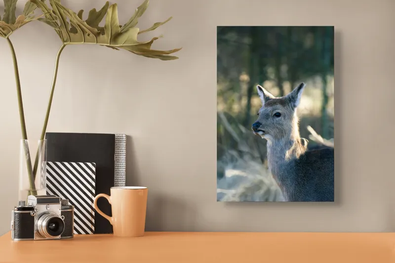 Tablou Canvas, "Misterul pădurii de iarnă", Iepure, Pădure, Lumină, Blană, Natură, Eleganță, Calm, Animal, Privire, Calmitate, 26 x 39 cm – poza 3