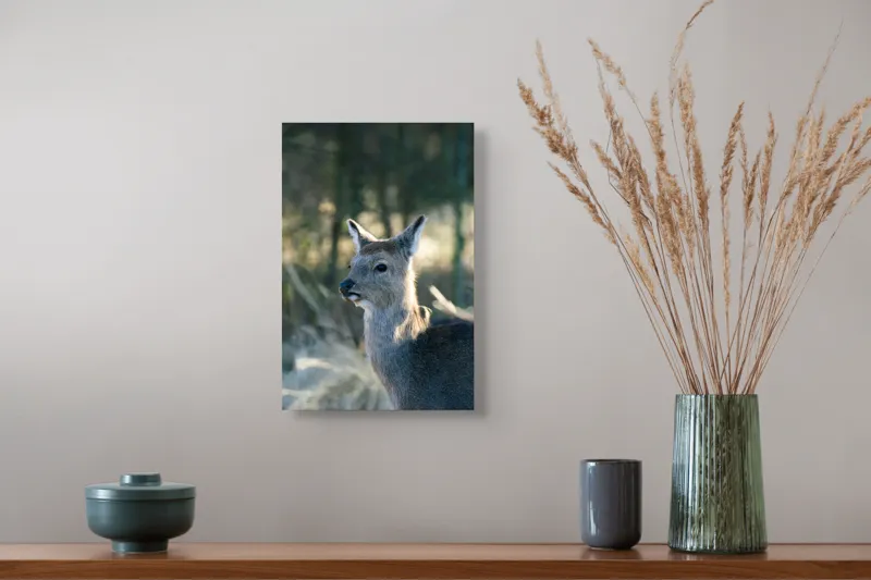 Tablou Canvas, "Misterul pădurii de iarnă", Iepure, Pădure, Lumină, Blană, Natură, Eleganță, Calm, Animal, Privire, Calmitate, 26 x 39 cm – poza 5
