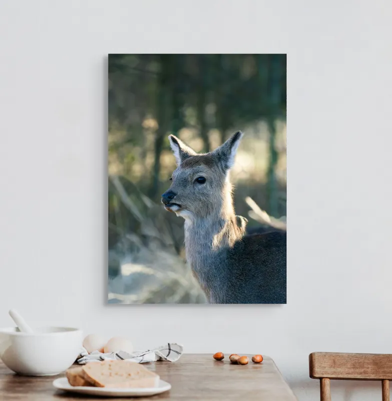 Tablou Canvas, "Misterul pădurii de iarnă", Iepure, Pădure, Lumină, Blană, Natură, Eleganță, Calm, Animal, Privire, Calmitate, 50 x 70 cm – poza 3